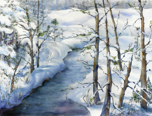A February Walk: East Coast Trail