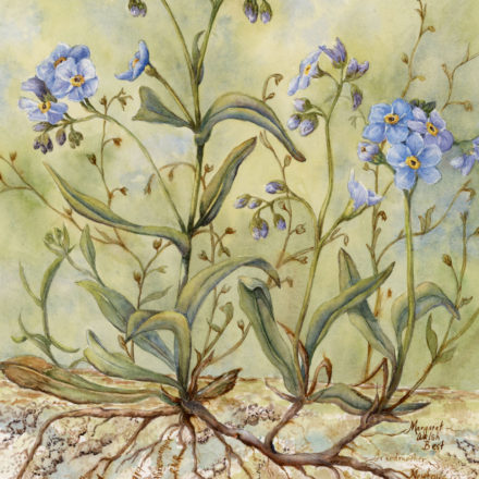 Roots that Nurture Threads That Bind
