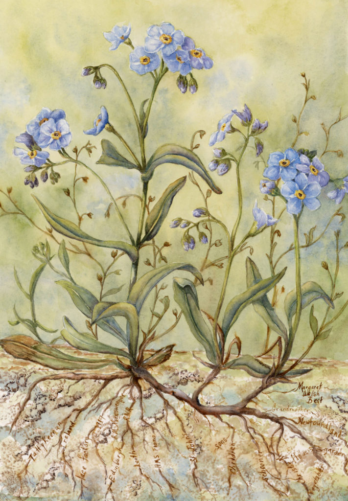 Roots that Nurture Threads That Bind